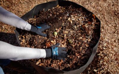 Jual Trash Bag untuk Fermentasi Pakan Ternak Urban Plastic