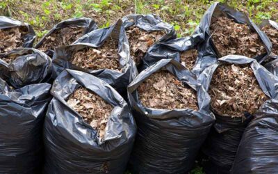 Kantong Trash Bag untuk Fermentasi Pakan Ternak Berkualitas