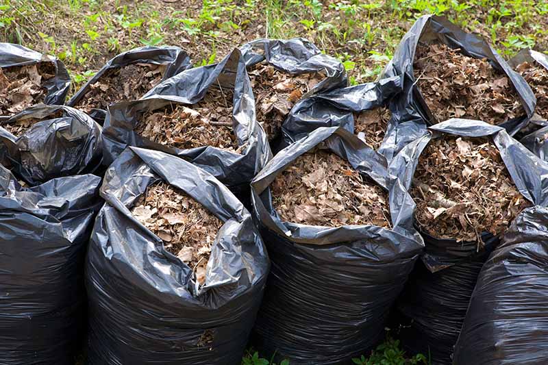 Jual Trash Bag untuk Fermentasi Pakan Ternak Berkualitas